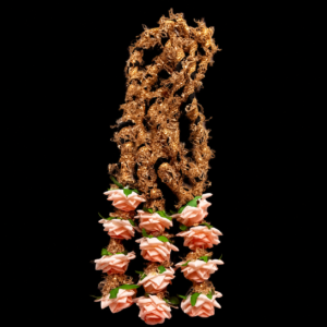 Rose Paranda